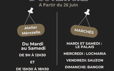 Horaires été 2025